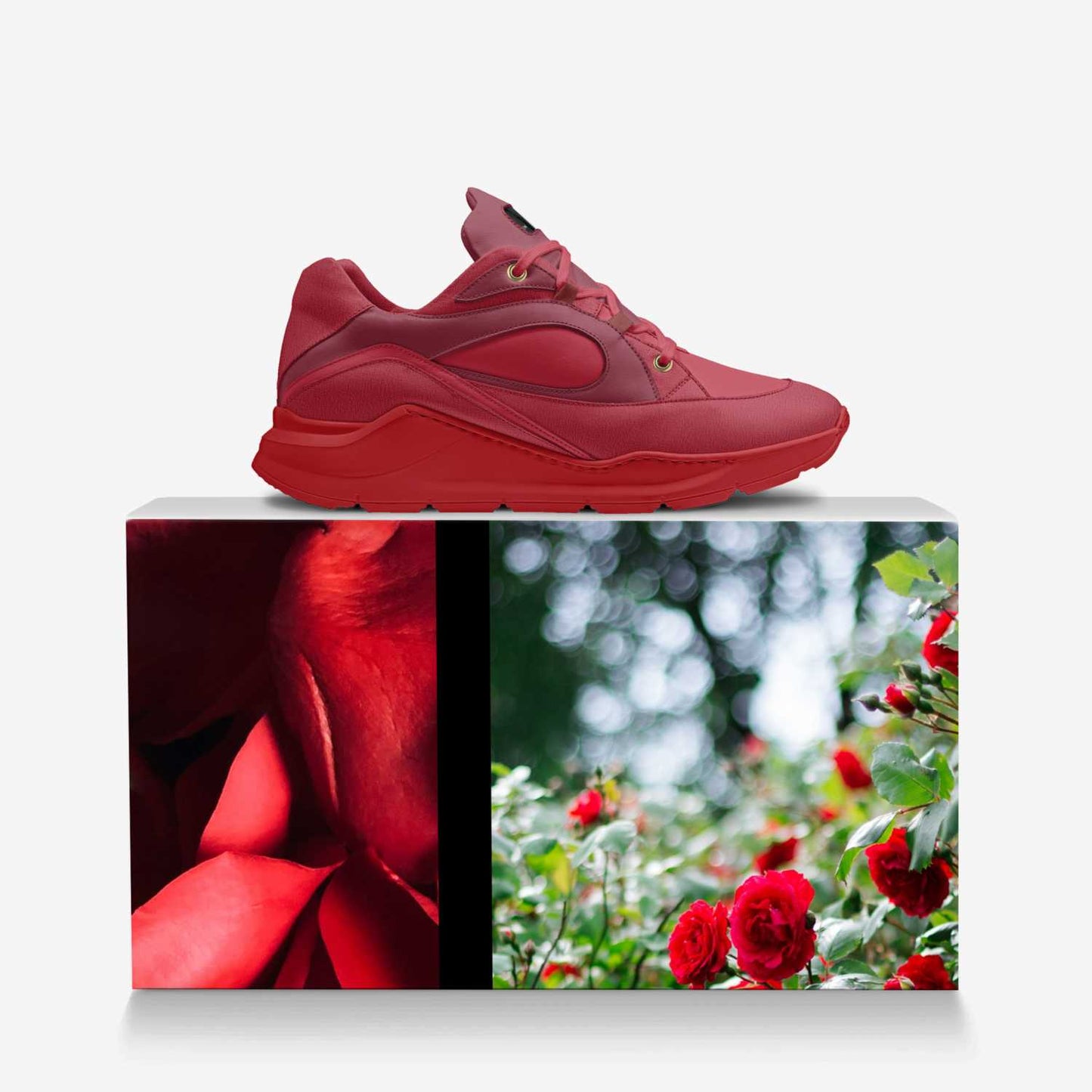 Rose Plows