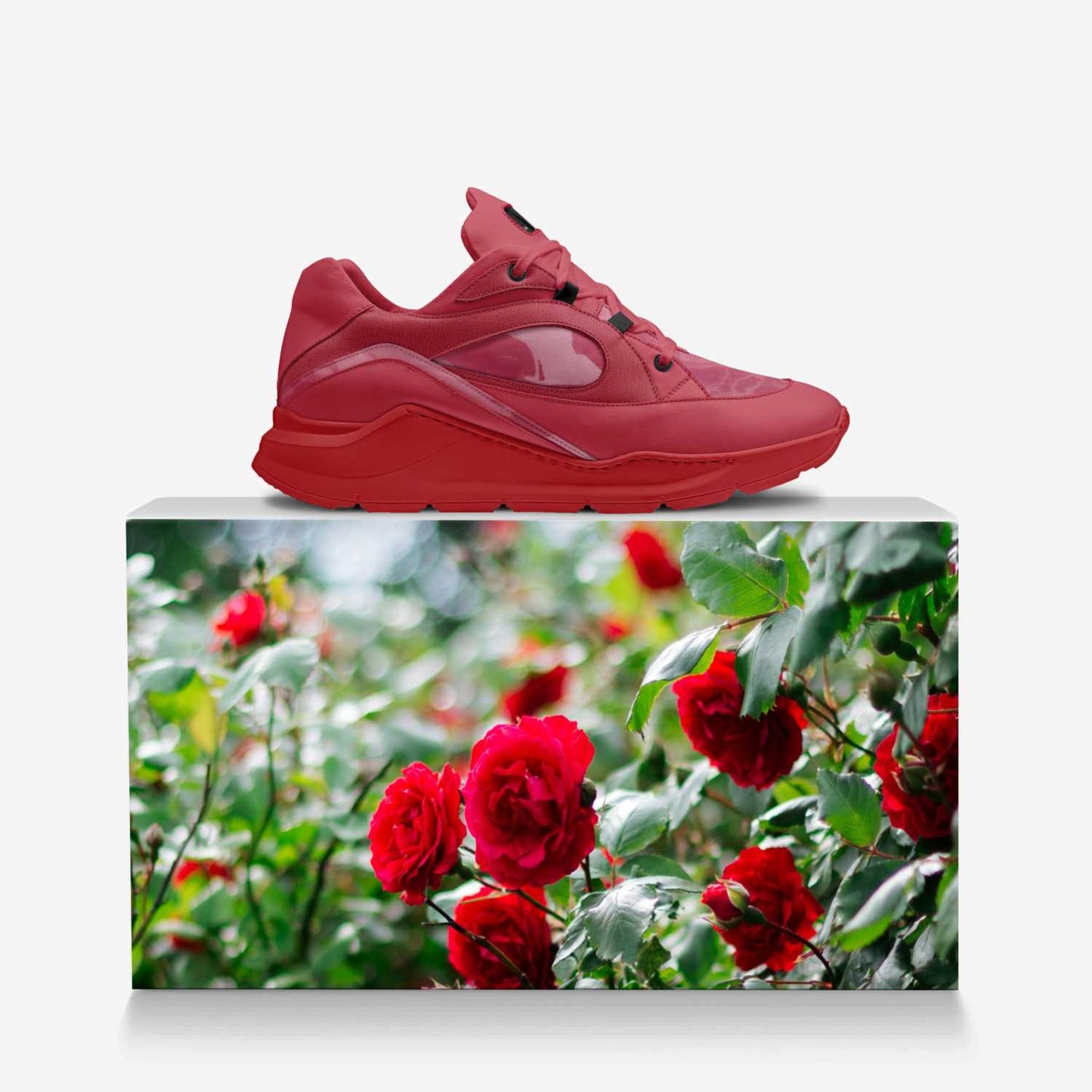 Rose Plows